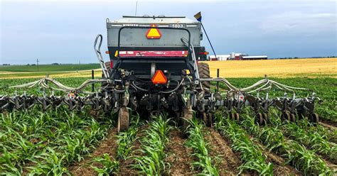 Interseeding Cover Crops In Extra Wide Corn Rows