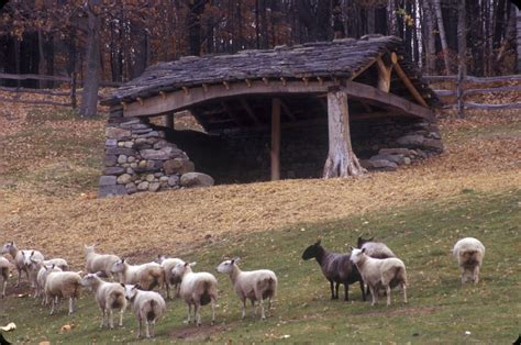 Sheep Shed Dan Snow Stoneworks Sheep Shelter Sheep House Sheep