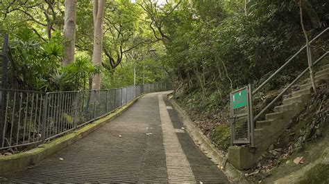 A Hike From Wan Chai To The Peak Via The Hong Kong Trail Hong Kong China