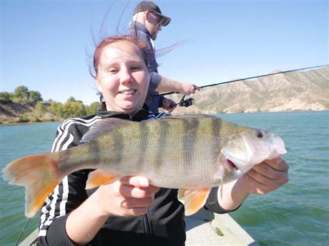 Vollmondtour Im Oktober Am Ebro Mit Extreme Ebrofishing Extreme