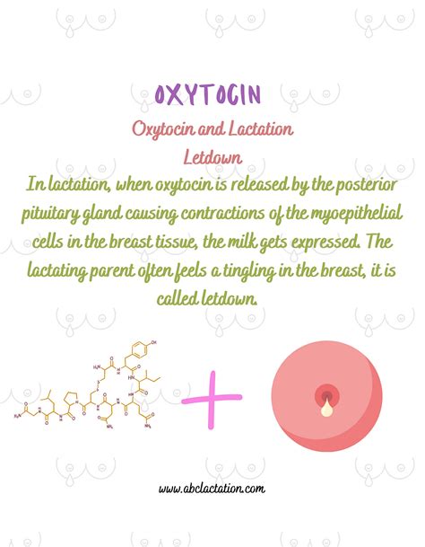 Oxytocin is a very important hormone