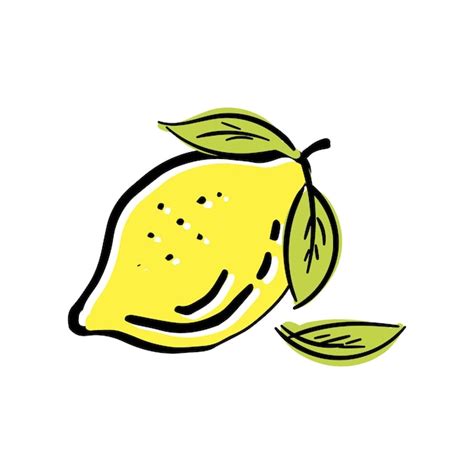 Premium Vector Lemon Doodle Illustration In Vector Hand Drawn