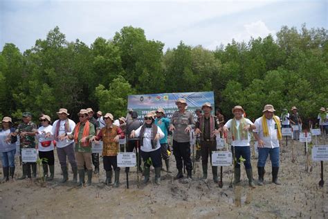 Pertamina Rehabilitasi Mangrove Di Nusa Tenggara Timur Guna Mendukung