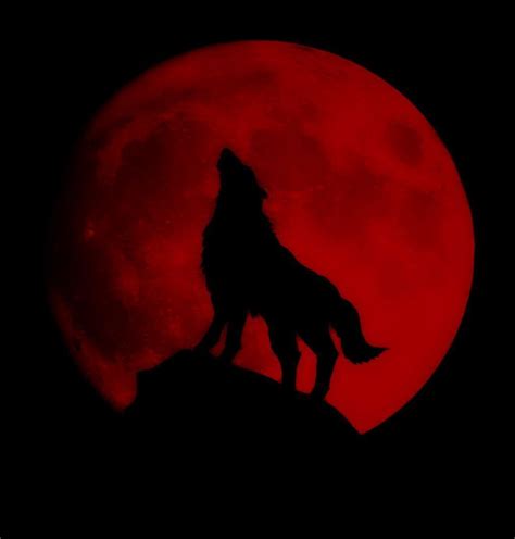 Red Moon Wolf Wallpapers - Top Free Red Moon Wolf Backgrounds ...