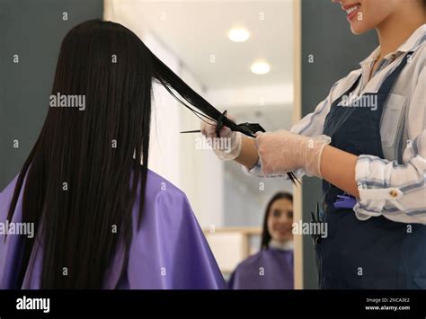 Professional Hairdresser Dying Hair In Beauty Salon Closeup Stock