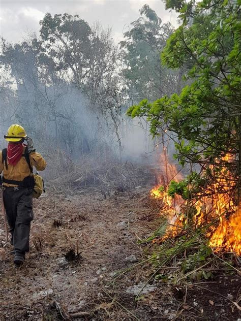 Hay 14 Incendios Forestales Activos En Durango