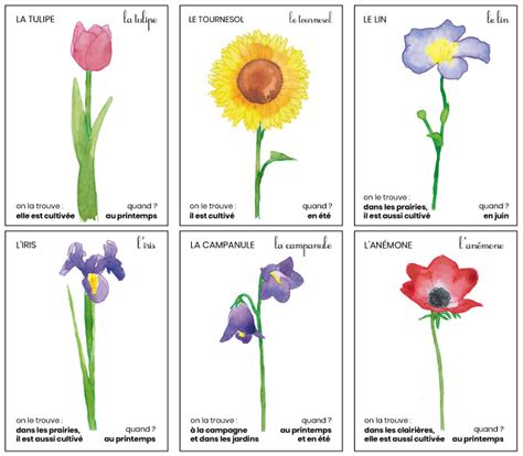 Outils pour des activités sur les FLEURS Virginie Couillaud