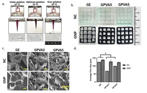 Assessment Of The Potential Bioinks Using The 3d Bioprinting