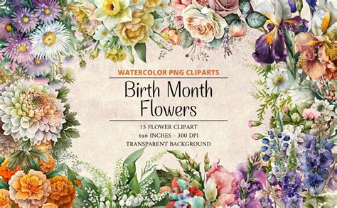 15 Watercolor Birth Flowers Clipart Beautiful Birth Flowers - Etsy