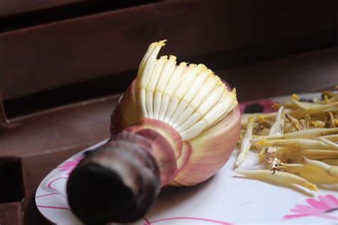 Can you guess this one? | Fashionable Foodz