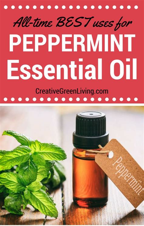 Thirteen Awesome Ways To Use Peppermint Essential Oil Peppermint Essential Oil Essential Oils