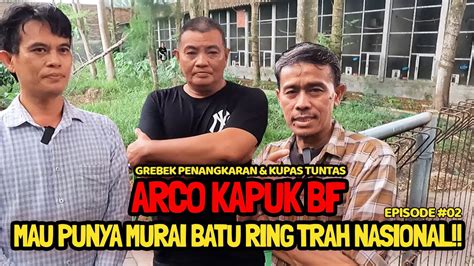 EPS 02 ARCO KAPUK BF MAU PUNYA MURAI BATU RING TRAH NASIONAL GREBEK