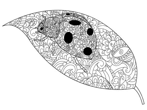 Coccinelle Sur Un Vecteur De Coloriage De Feuille Pour Adultes ...