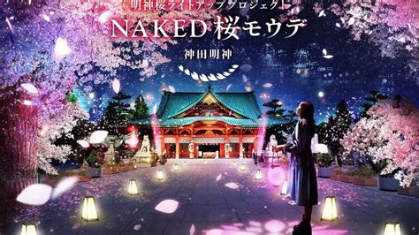 Naked Sakura Pilgrimage Things To Do In Tokyo