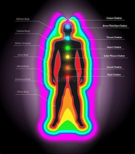 Human Energy Body Aura Chakra In Meditation Stock Illustration