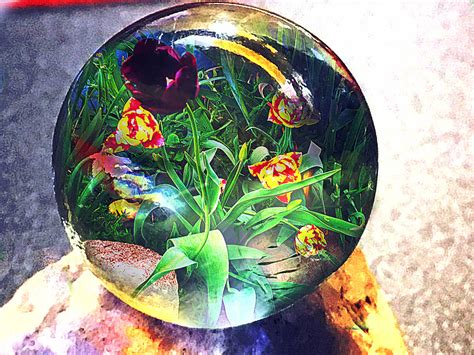 Glassball Flower 009175 By Holman123 On Deviantart