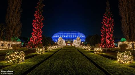 Christmas Garden Berlin – Christmas lights and mulled wine | HI Travel ...