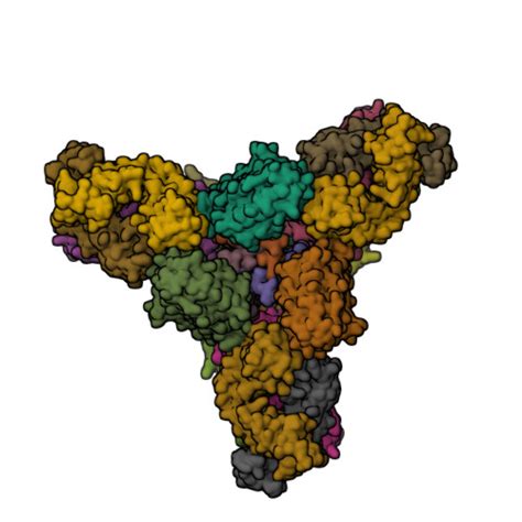 RCSB PDB 7U8M Crystal Structure Of Chimeric Hemagglutinin CH15 3 In