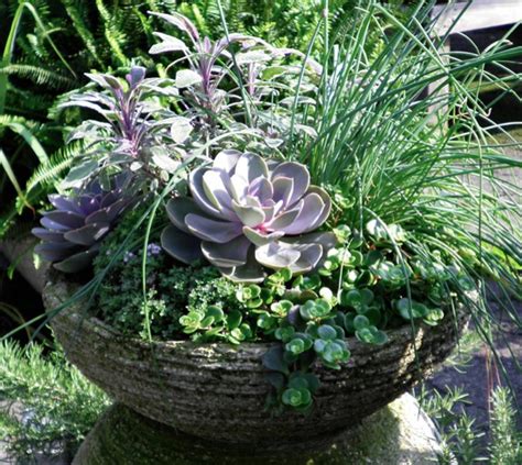 Container Gardening With Herbs – The Basics | Oak Street Garden Shop ...