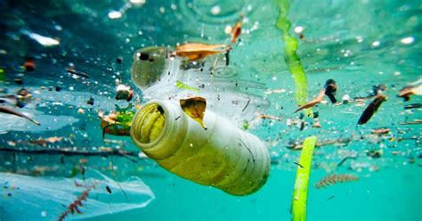 EL IMPACTO DE LA BASURA MARINA EN LA NATURALEZA