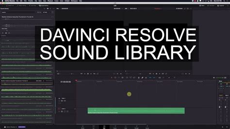 Davinci resolve effects library - lenspowen