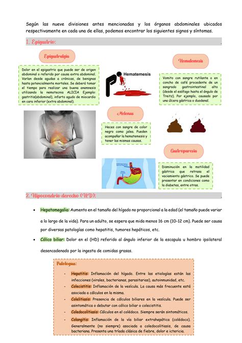 SOLUTION Semiologia Abdomen Studypool