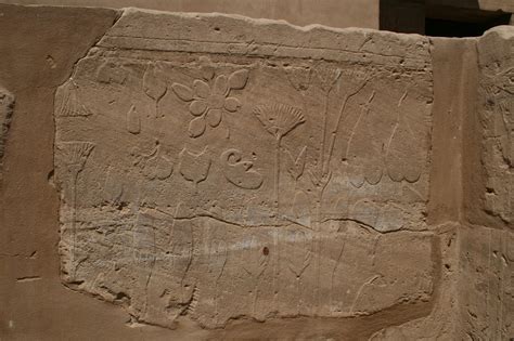 EL JARDÍN BOTÁNICO DE TUTMOSIS III EN KARNAK