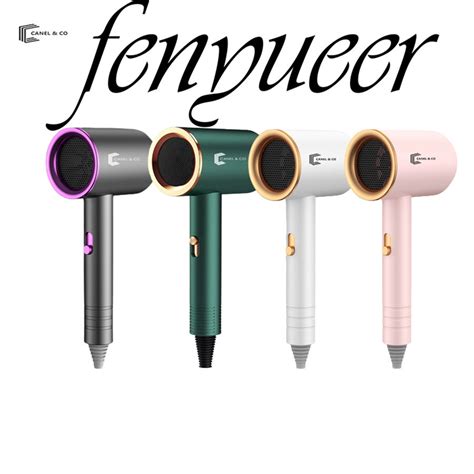 Hair Dryer Professional Hot Cold Hot Cold Hair Dryer W W Level Fast Dry Temperature