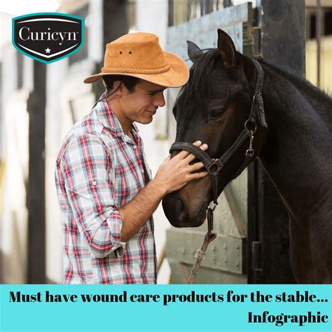 Must Have Wound Care Products For The Stable Infographic