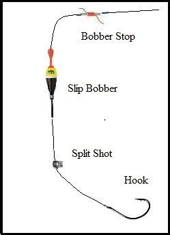 How To Rig Up A Slip Bobber For Walleye Reviewmotors Co