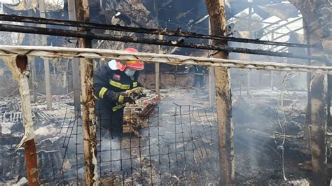 3600只鹅苗变烤鹅滁州定远600多平养殖大棚起火辖区消防立即赶赴现场救援 滁州万象 E滁州 bbs 0550