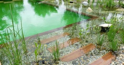 Prix Et Tarifs D Une Piscine Naturelle Biologique