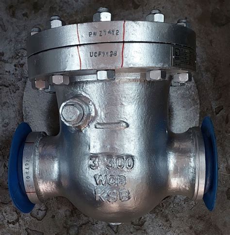 Nrv Swing Type Check Valve For Industrial Certification Isi Certified At Rs 200 Piece In