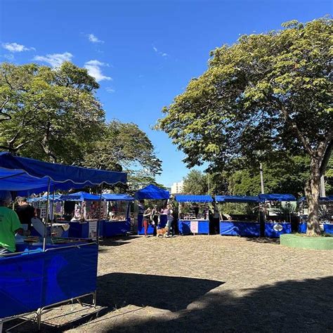 Feira Arte Na Pra A Ter Doa O De Mudas E Brech S Neste Domingo Em