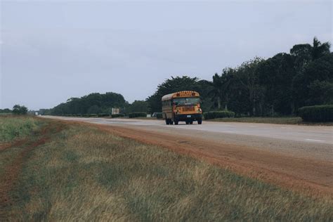 School Bus on Road · Free Stock Photo