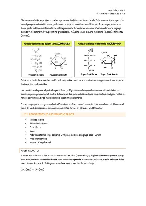 SOLUTION Tema 2 Biolog A 1 Bach Studypool