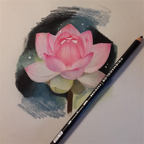 how to draw a lotus flower 6