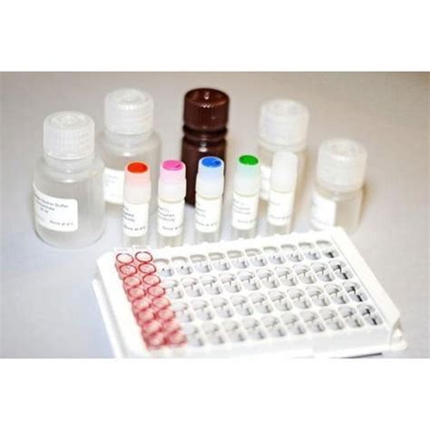 ELISA Kits Market with Huge Potential: Repligen, LSBio, BioLegand ... 