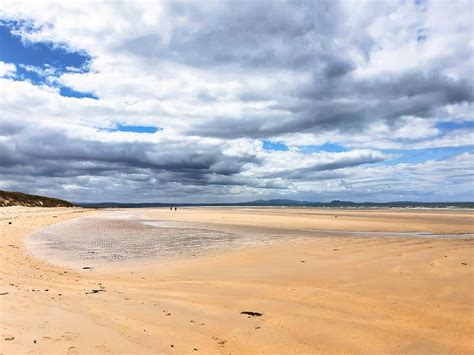 Aberlady Bay Visitor Guide | East Lothian