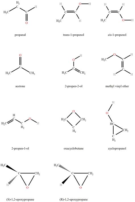 C3H8O Isomers – Brain