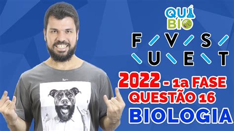 FUVEST 2022 Questão 16 A figura sintetiza de forma simplificada a