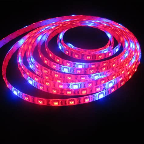 12V SMD 5050 60LEDs Red Blue LED Strip Grow Lights LED Plant Grow