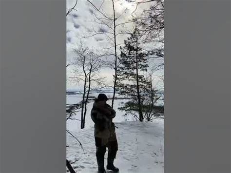 Манок на гуся "Мания Шторм " белолобый гусь - YouTube