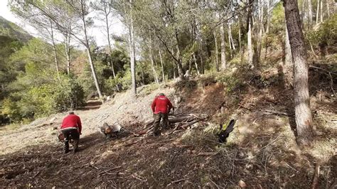 Es neteja de sotabosc al Mas de Forès d Alcover per prevenir incendis