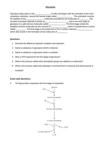 A Level Aqa Biology Glycolysis Teaching Resources