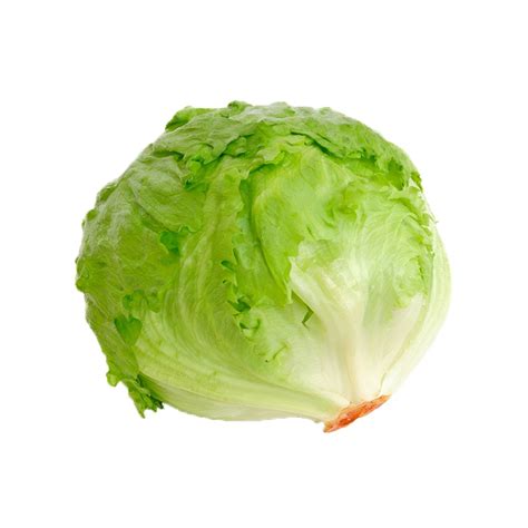 Iceberg Lettuce Price Buy Online At Best Price In India