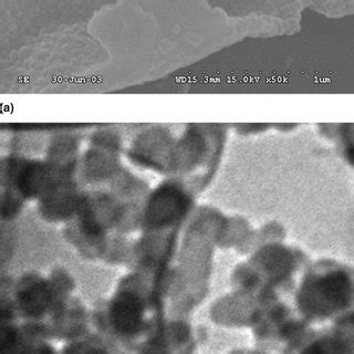 A Scanning Electron And B Transmission Electron Micro Graphs Of