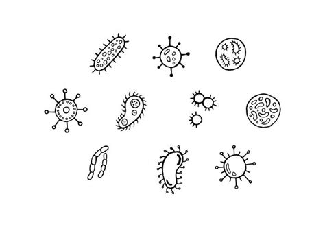 Bacteria Vector Art, Icons, and Graphics for Free Download