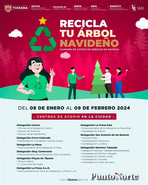 Habr Centros De Acopio Para Reciclar Arbolitos De Navidad En