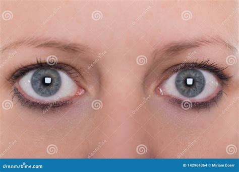 Close Up, Eyes and Eyebrows from a Young Woman Stock Photo - Image of close, human: 142964364